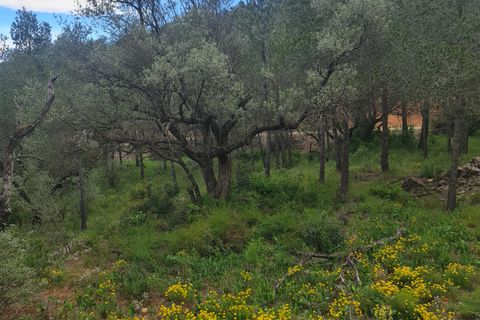 Landejendom i Asco, Tarragona, Asco - € 12.500 | Ref: 959 Lasco - foto 11
